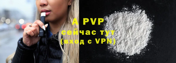 стафф Туринск