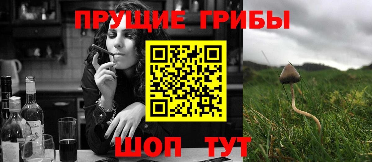 Псилоцибиновые грибы MAGIC MUSHROOMS Хабаровск