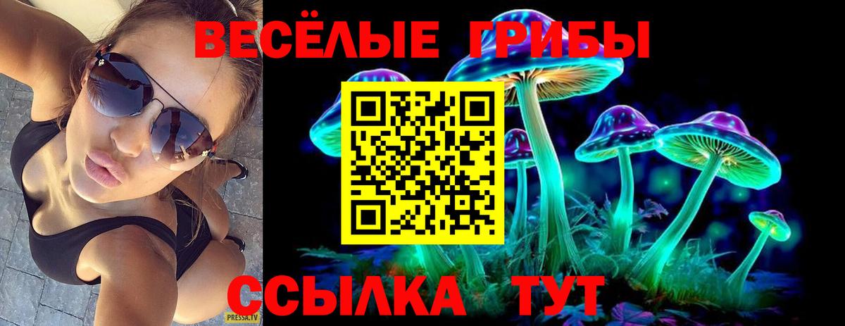 Хабаровск  Псилоцибиновые грибы мицелий  Вход с VPN 