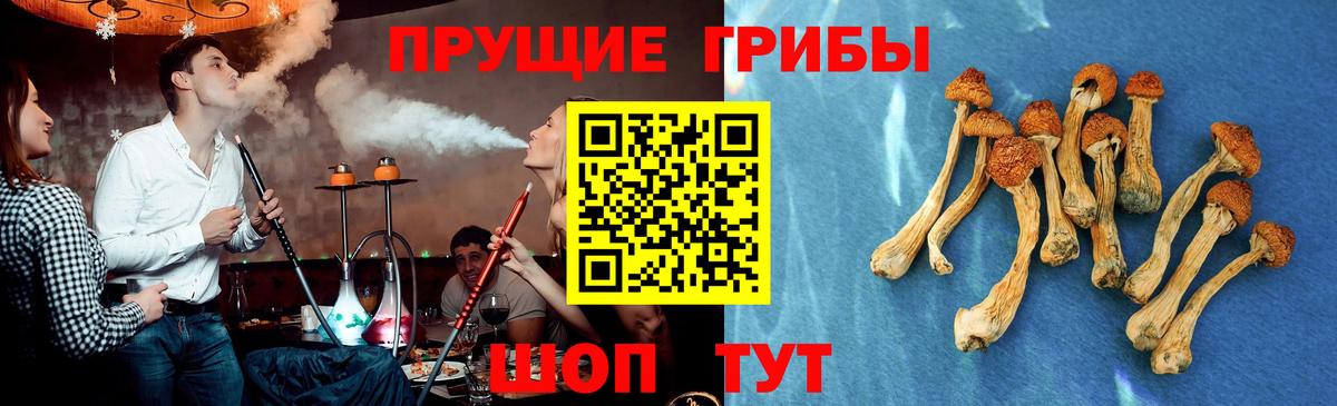 Галлюциногенные грибы мицелий Хабаровск